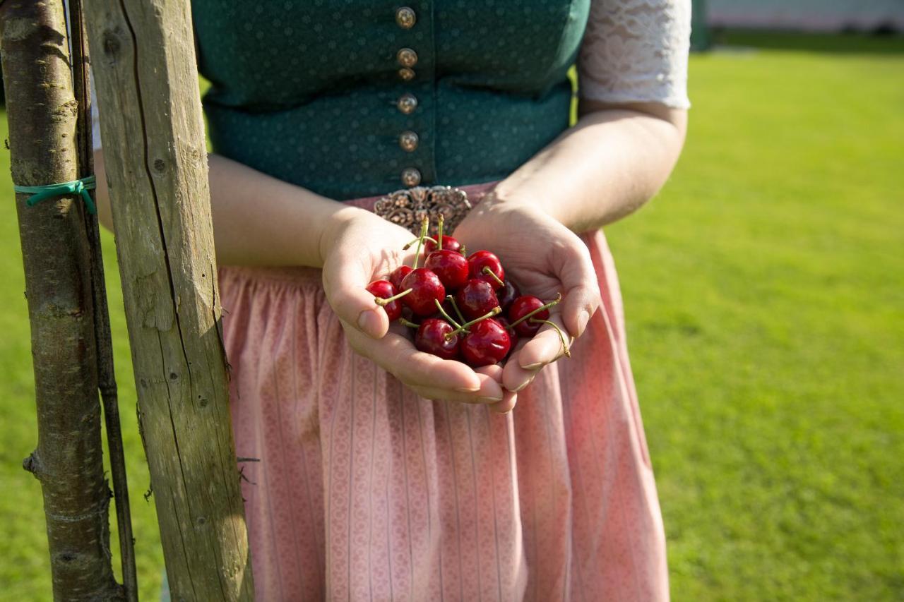 Obstgarten Gaestehaus Hollenstein an der Ybbs Buitenkant foto